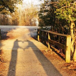 5x7 Original Photography Bridge Couple Silhouette